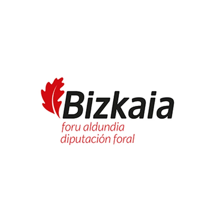 Logo de Bizkaiko Foru Aldundia · Diputación Foral de Bizkaia, organización cliente de Grupo Eune